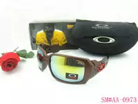 acheter sunglasses oakley 2013 lentille beau oakley good-9056